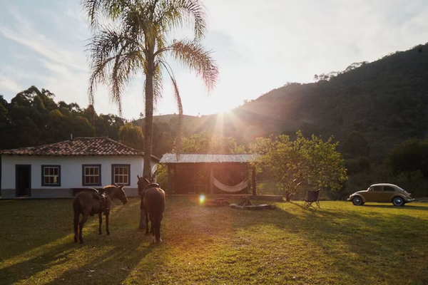 A Fazenda 18: O Que Esperar da Nova Temporada